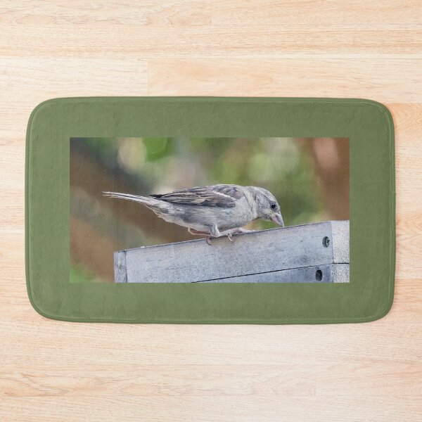 Item preview, Juvenile House Sparrow designed and sold by CarolM.