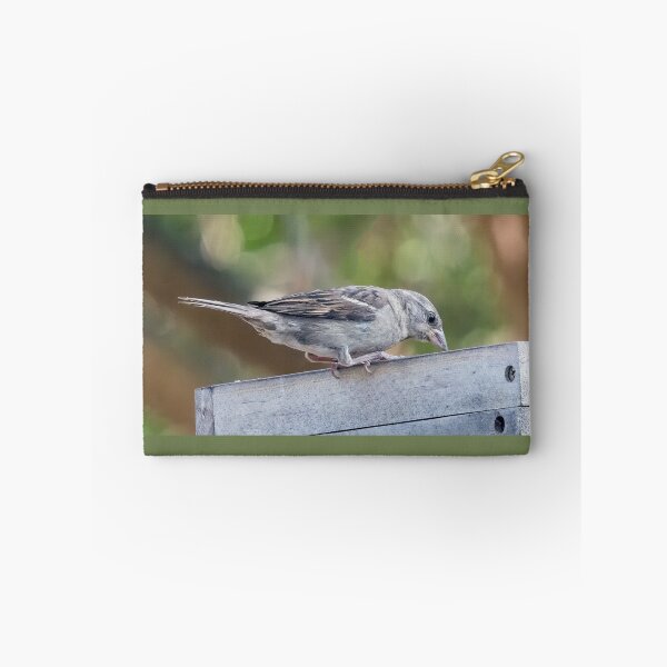 Item preview, Juvenile House Sparrow designed and sold by CarolM.