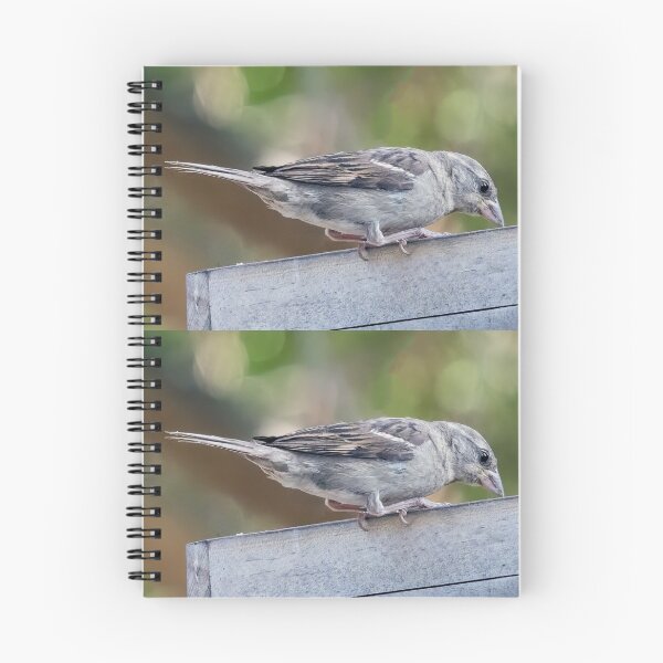 Item preview, Juvenile House Sparrow designed and sold by CarolM.