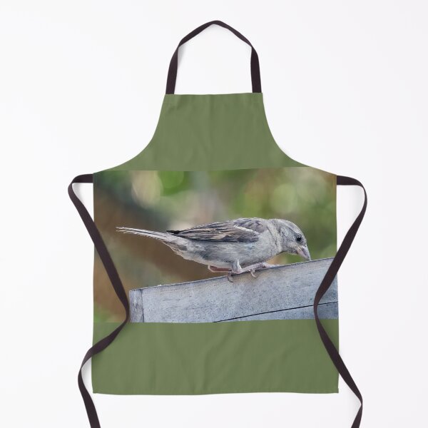 Item preview, Juvenile House Sparrow designed and sold by CarolM.