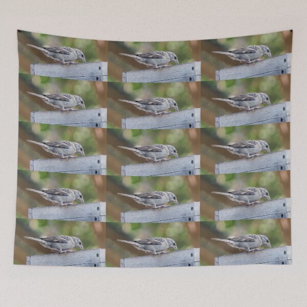 Item preview, Juvenile House Sparrow designed and sold by CarolM.