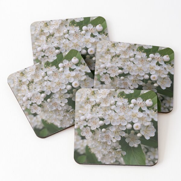 Item preview, White flowers to touch designed and sold by KrencyArt.