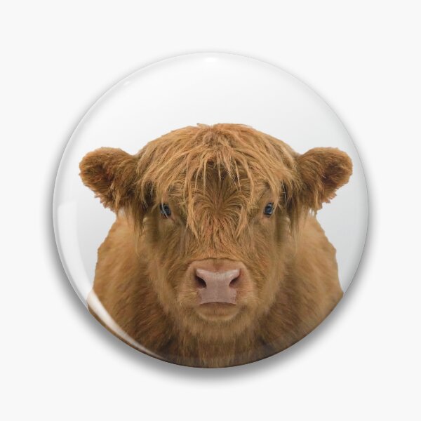 Item preview, Cute Highland Cow Calf designed and sold by NDMD.