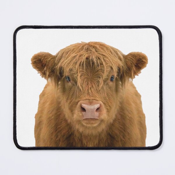 Item preview, Cute Highland Cow Calf designed and sold by NDMD.