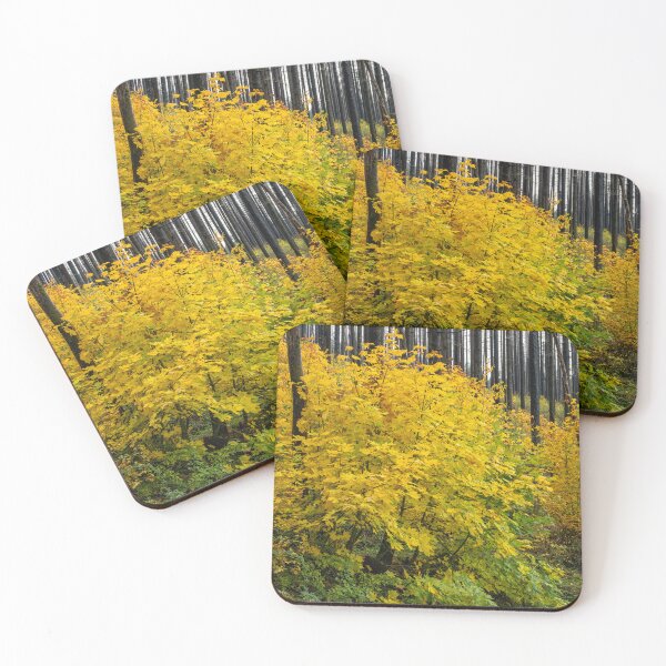 Item preview, Resurrected in Gold designed and sold by DawsonImages.