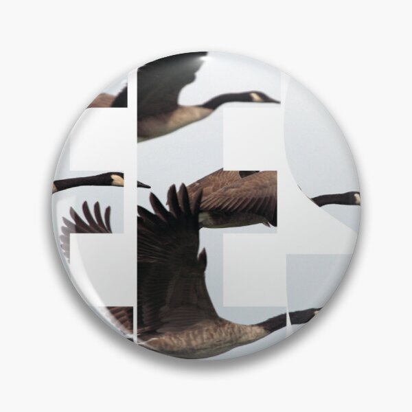 Item preview, flying geese band logo designed and sold by amygdala-xyz.