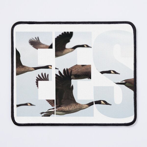 Item preview, flying geese band logo designed and sold by amygdala-xyz.