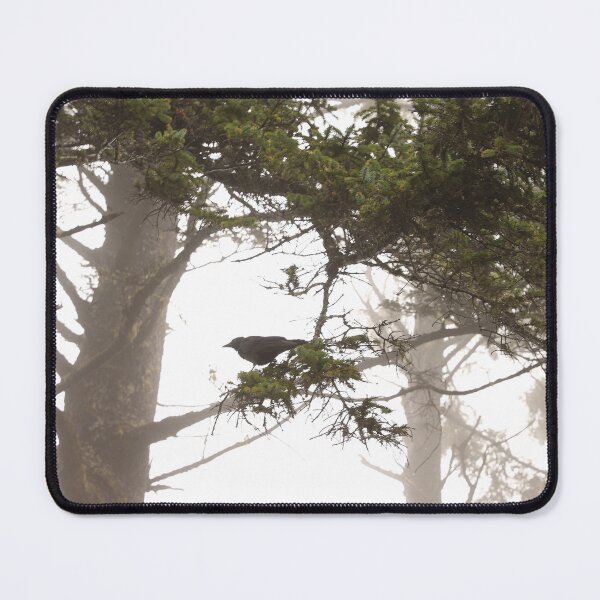 Item preview, Magical Black Bird designed and sold by artsychickphoto.