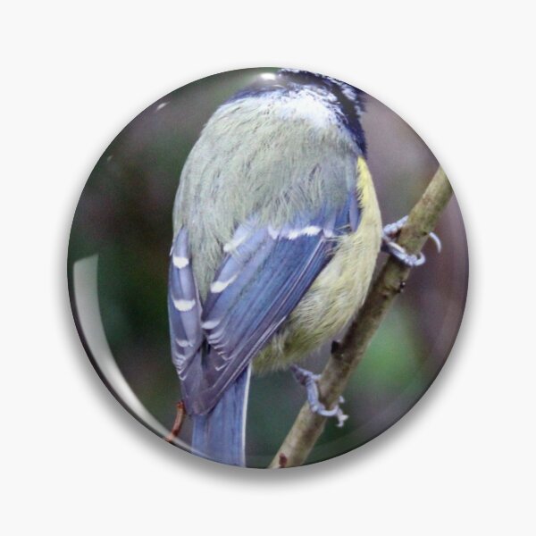Item preview, blue tit designed and sold by KathleenDawson.