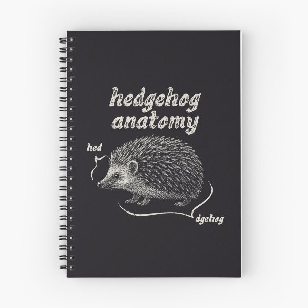 Artikelvorschau, Igel-Anatomie-Kreide entworfen und verkauft von wolfkin-design.