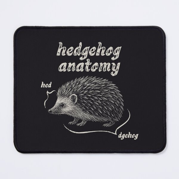 Artikelvorschau, Igel-Anatomie-Kreide entworfen und verkauft von wolfkin-design.