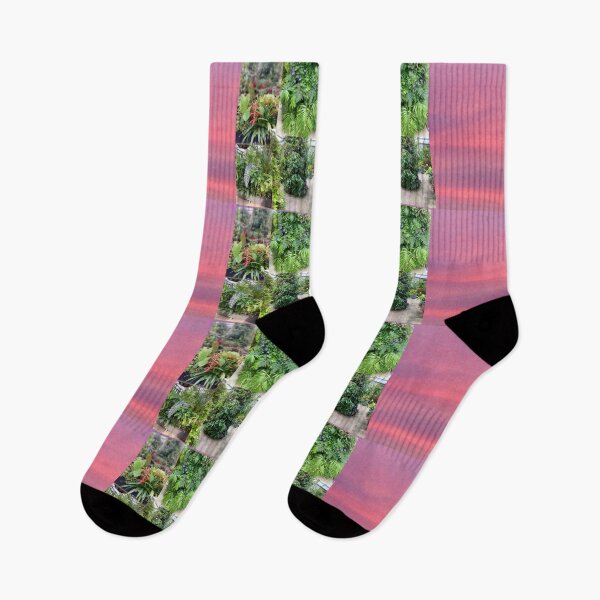 Item preview, Plants and sunsets designed and sold by Bloom Sketcher$.