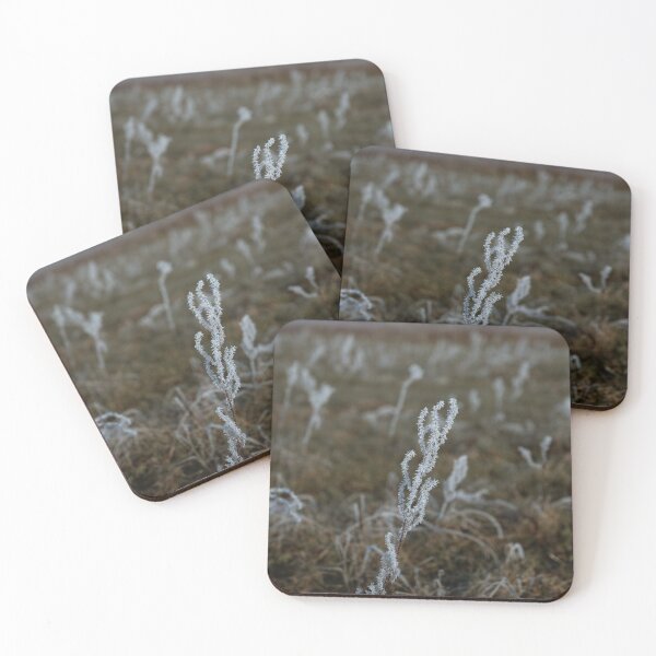Item preview, Frost-Covered Meadow Plant at Sunrise designed and sold by alicjamiekina.