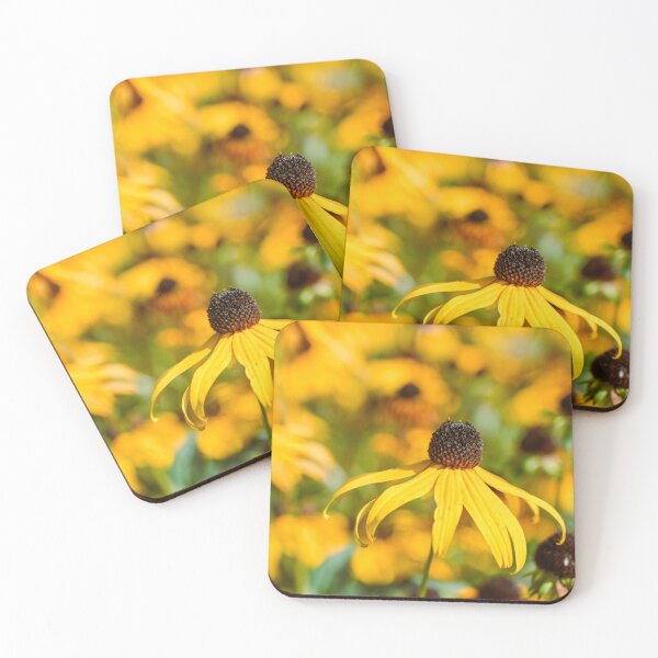 Item preview, Rudbeckia Flower in Full Bloom with Soft Bokeh Background designed and sold by alicjamiekina.