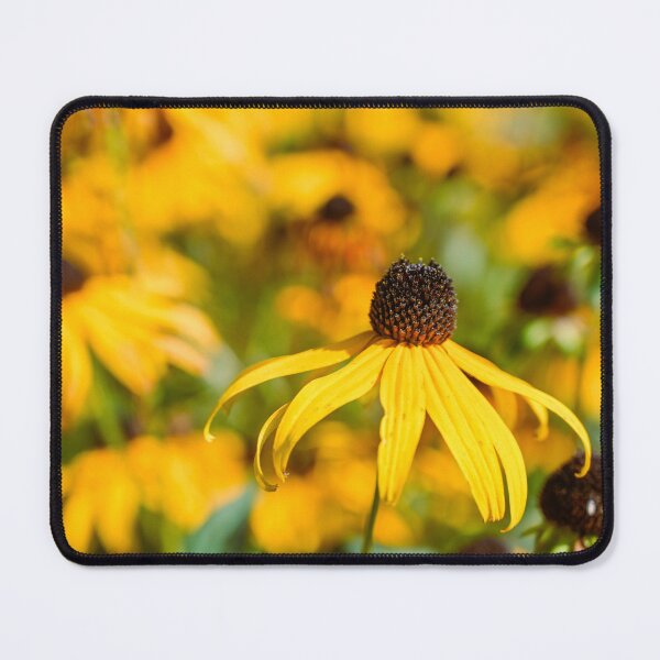 Item preview, Rudbeckia Flower in Full Bloom with Soft Bokeh Background designed and sold by alicjamiekina.