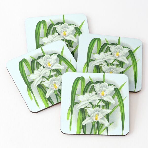 Item preview, Cymbidium eburneum designed and sold by NightRaida.