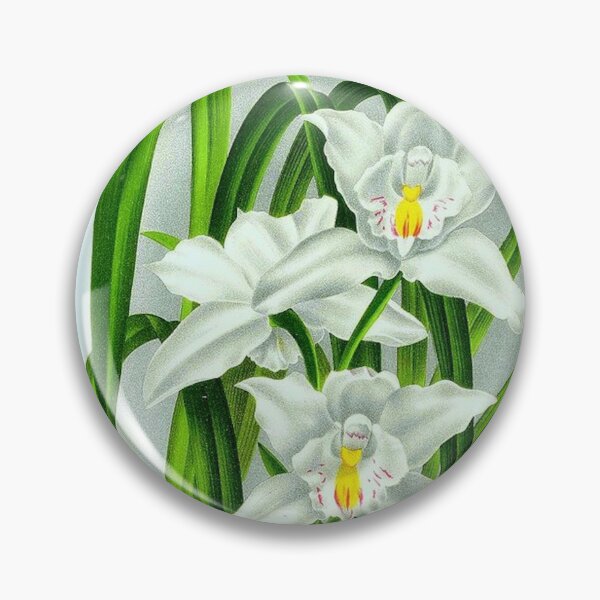 Item preview, Cymbidium eburneum designed and sold by NightRaida.