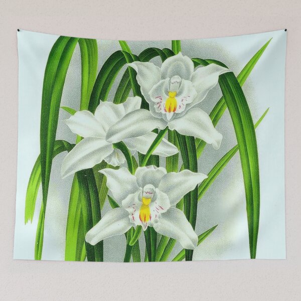 Item preview, Cymbidium eburneum designed and sold by NightRaida.