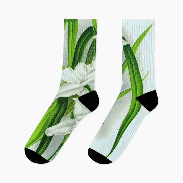 Item preview, Cymbidium eburneum designed and sold by NightRaida.