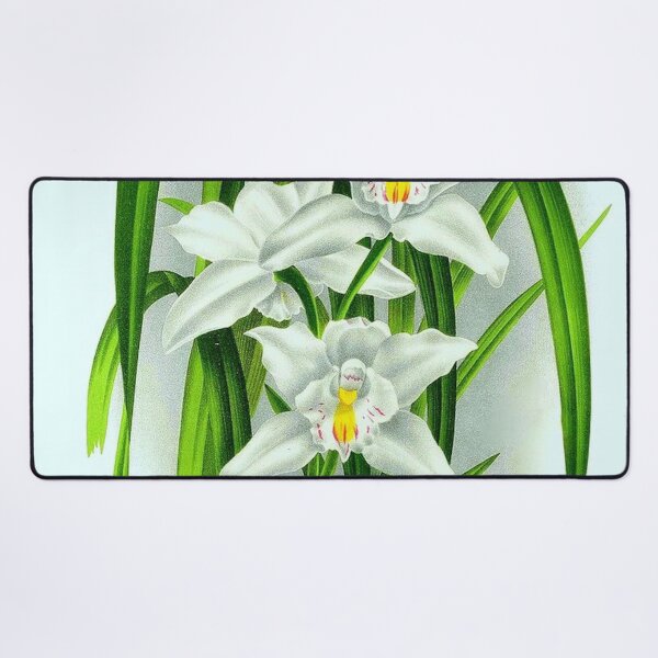 Item preview, Cymbidium eburneum designed and sold by NightRaida.