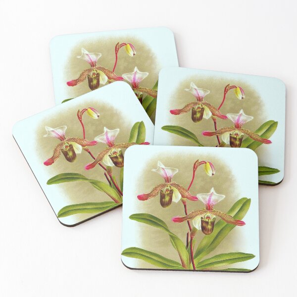 Item preview, Cypripedium x Dallemagnei designed and sold by NightRaida.