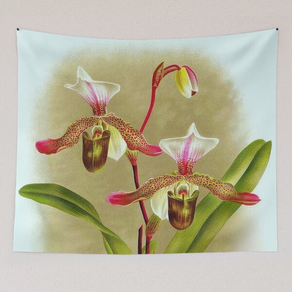 Item preview, Cypripedium x Dallemagnei designed and sold by NightRaida.