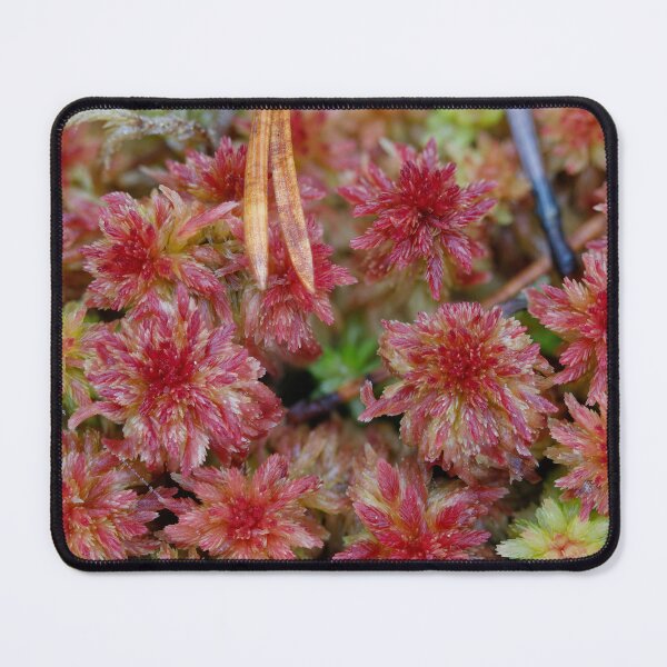 Item preview, Vibrant Red Moss Close-Up designed and sold by Veikko Suikkanen.