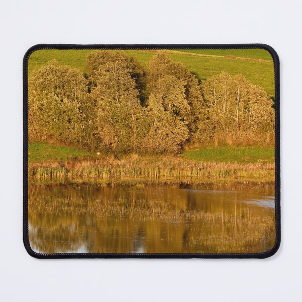 Item preview, The trees by the lake. Fall 2025 designed and sold by Jouko Lehto Photography.