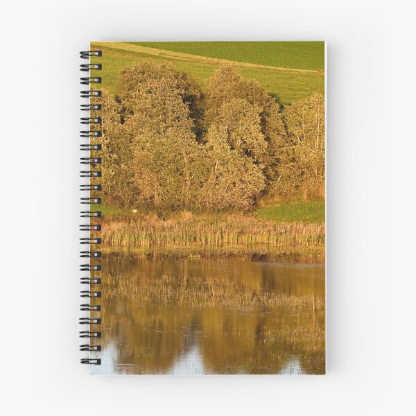 Item preview, The trees by the lake. Fall 2025 designed and sold by Jouko Lehto Photography.