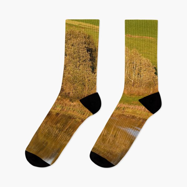 Item preview, The trees by the lake. Fall 2025 designed and sold by Jouko Lehto Photography.