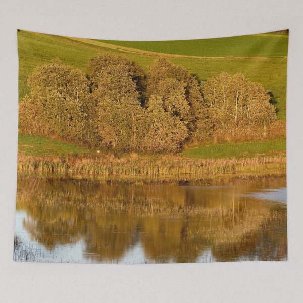 Item preview, The trees by the lake. Fall 2025 designed and sold by Jouko Lehto Photography.