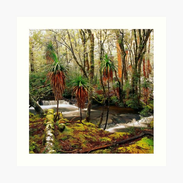 Winter in Pine Valley Art Print