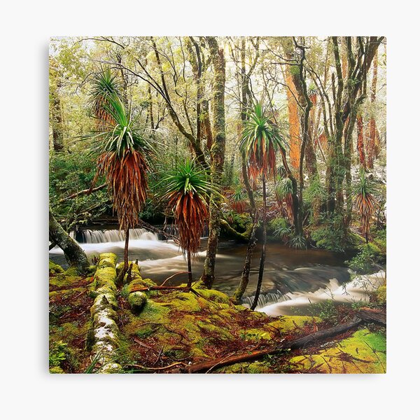 Winter in Pine Valley Metal Print