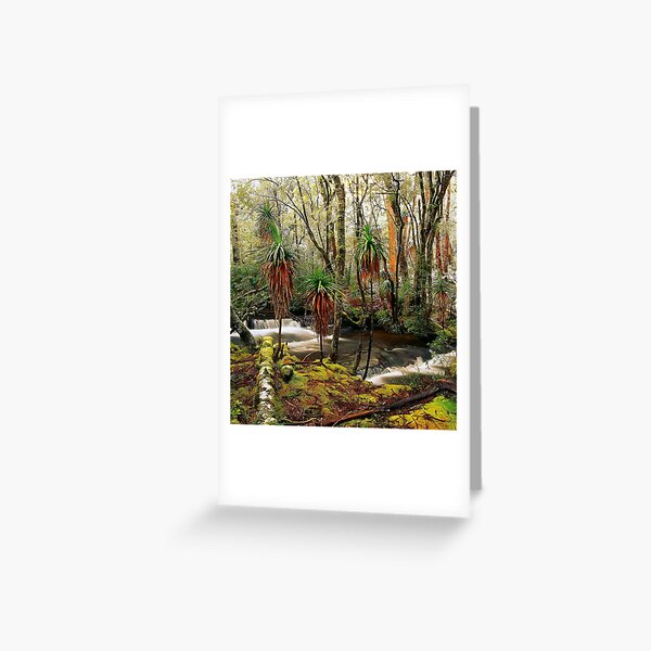 Winter in Pine Valley Greeting Card