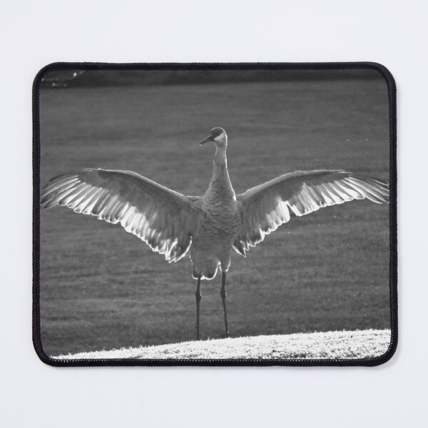 Item preview, Majestic Crane at Dawn designed and sold by MercerImages.