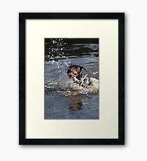 Saver Framed Print