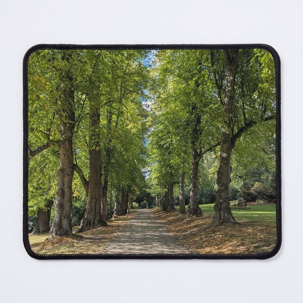 Item preview, A walk through Cannon Hall Park & Gardens, Cawthorne designed and sold by Rosie Simpson.