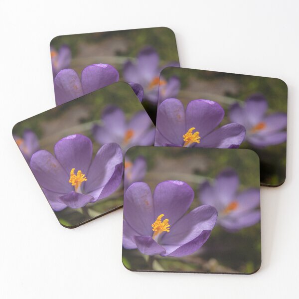 Item preview, Wild Purple Crocus Macro - False Saffron (Autumn Wildflower) (Macro of Wild Purple Crocus - Autumn Flower) designed and sold by DavidBuitragoCobo.