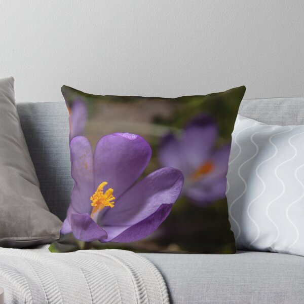Item preview, Wild Purple Crocus Macro - False Saffron (Autumn Wildflower) (Macro of Wild Purple Crocus - Autumn Flower) designed and sold by DavidBuitragoCobo.