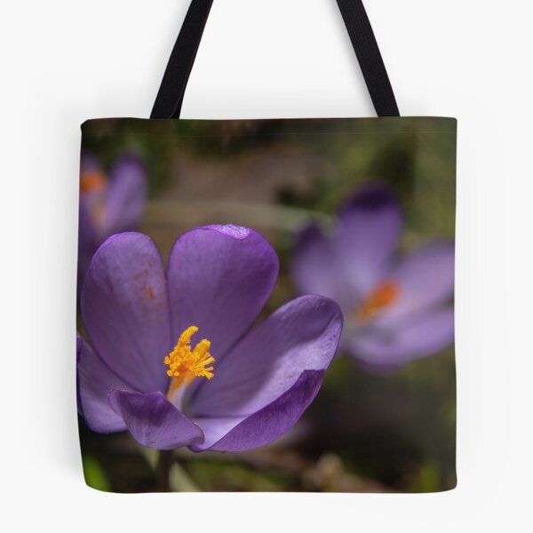 Item preview, Wild Purple Crocus Macro - False Saffron (Autumn Wildflower) (Macro of Wild Purple Crocus - Autumn Flower) designed and sold by DavidBuitragoCobo.