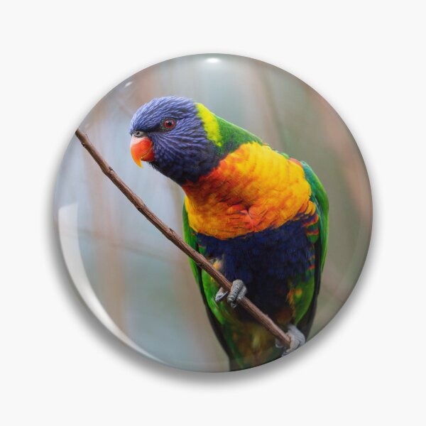 Item preview, Rainbow Love designed and sold by bella photoaus.