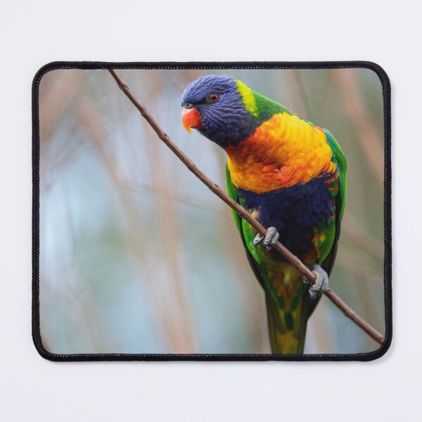 Item preview, Rainbow Love designed and sold by bella photoaus.