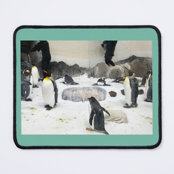 Item preview, Cool Penguins designed and sold by Bloom Sketcher$.
