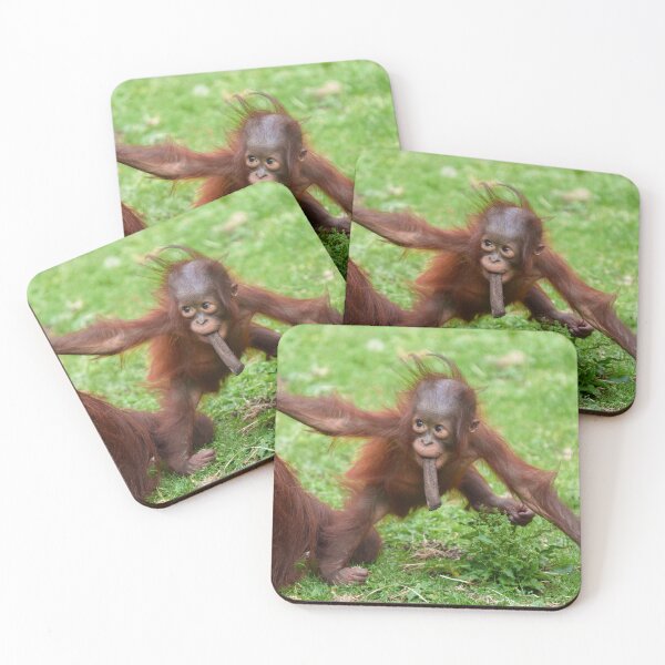 Item preview, Am I Cute - Orangutan Baby with Mother designed and sold by rawshutterbug.