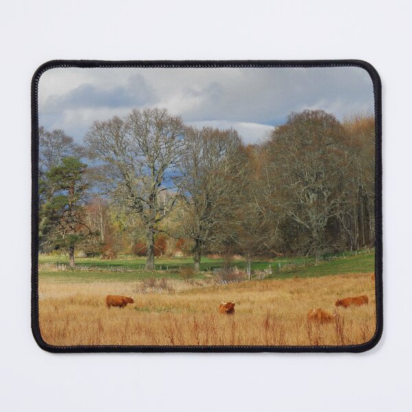 Item preview, Moniack designed and sold by Macrae images.
