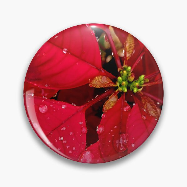 Item preview, Gotas de lluvia sobre la flor de Pascua designed and sold by Jmb67.