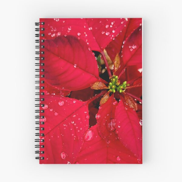 Item preview, Raindrops on the poinsettia designed and sold by Jmb67.
