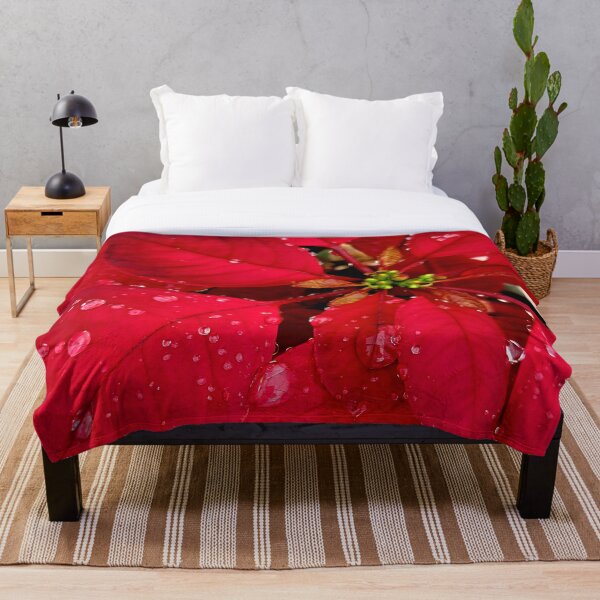 Item preview, Raindrops on the poinsettia designed and sold by Jmb67.