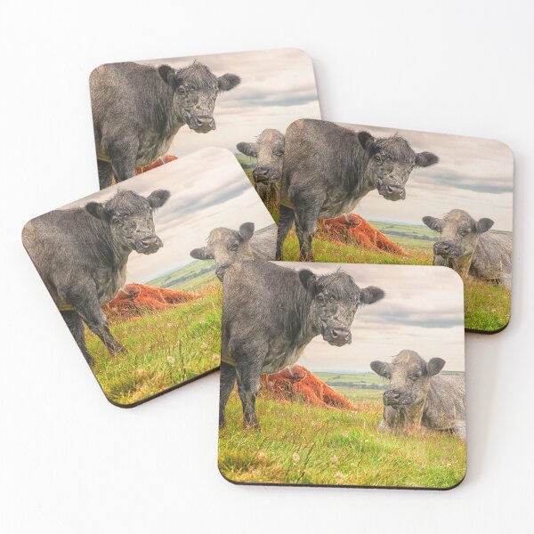 Item preview, Colorful Scottish Highlander cattle in Scotland designed and sold by Photopat.