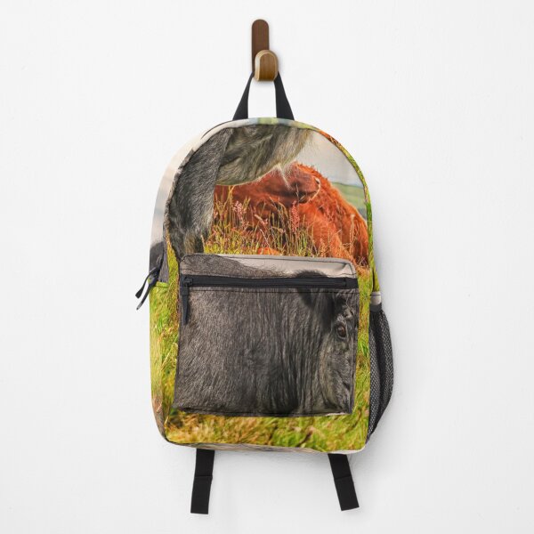 Item preview, Colorful Scottish Highlander cattle in Scotland designed and sold by Photopat.